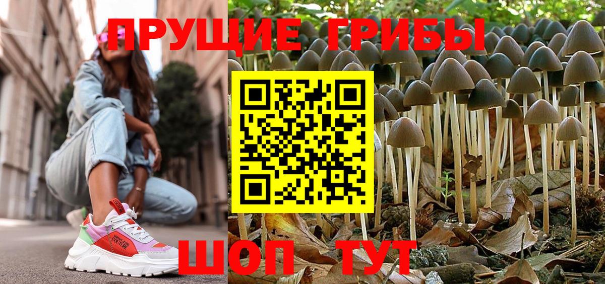 Псилоцибиновые грибы GOLDEN TEACHER  Вход с VPN  Бердск 
