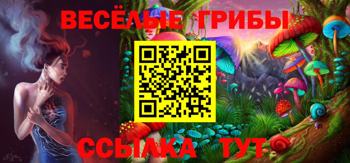 Псилоцибиновые грибы Magic Shrooms Бердск